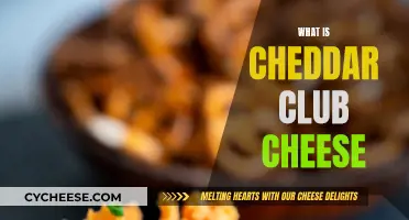 Cheddar Club Cheese: A Tasty, Creamy Delight