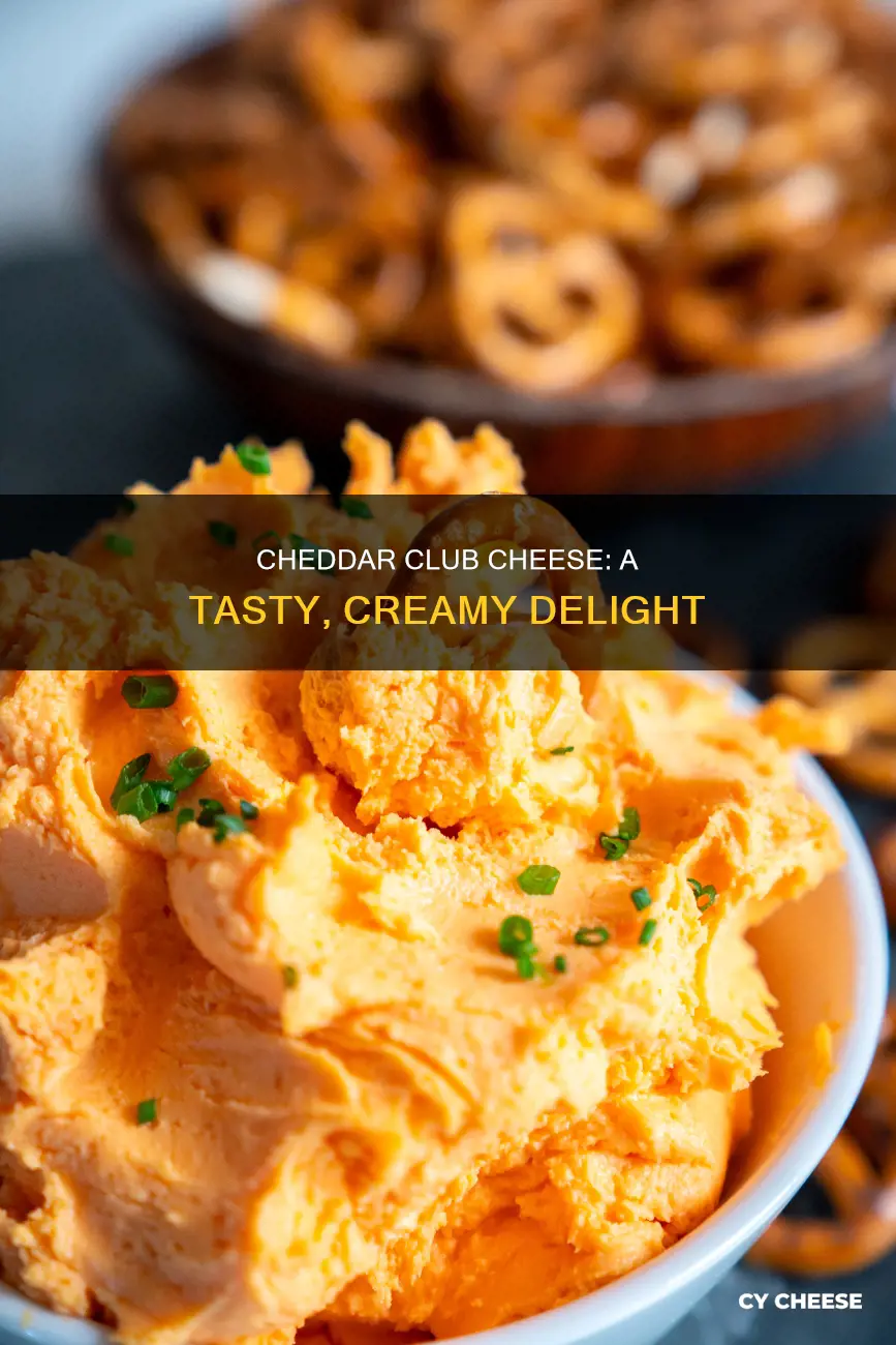 what is cheddar club cheese