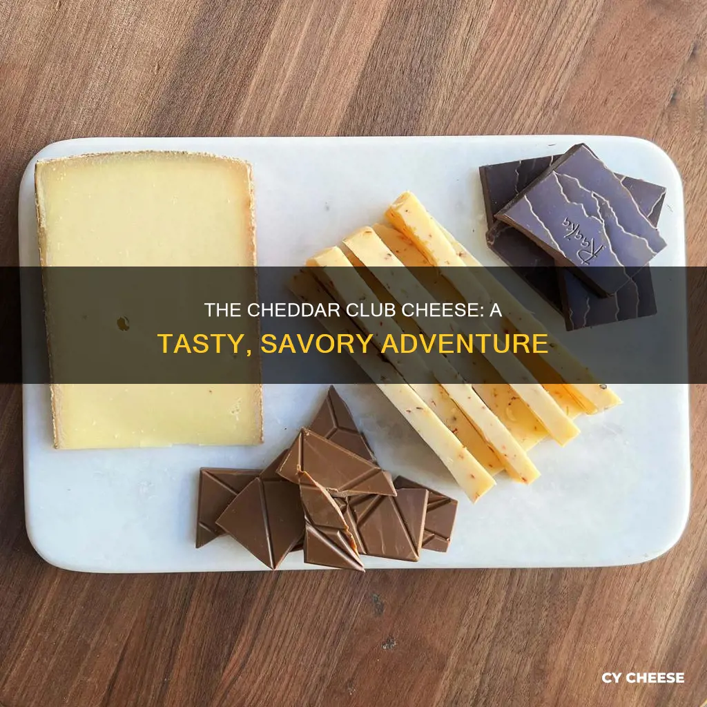 what is cheddar club cheese