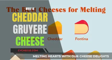 Unraveling the Cheddar-Gruyere Mystery: A Cheesy Adventure