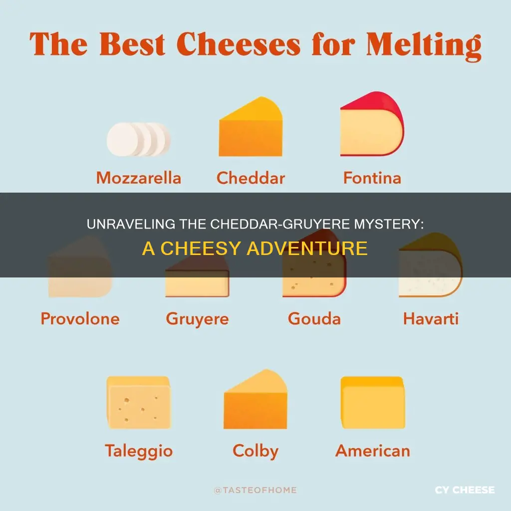 what is cheddar gruyere cheese