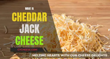 Unveiling Cheddar Jack: A Cheesy Adventure