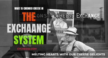 Understanding Cheddar's Role in the Exchange Rate System