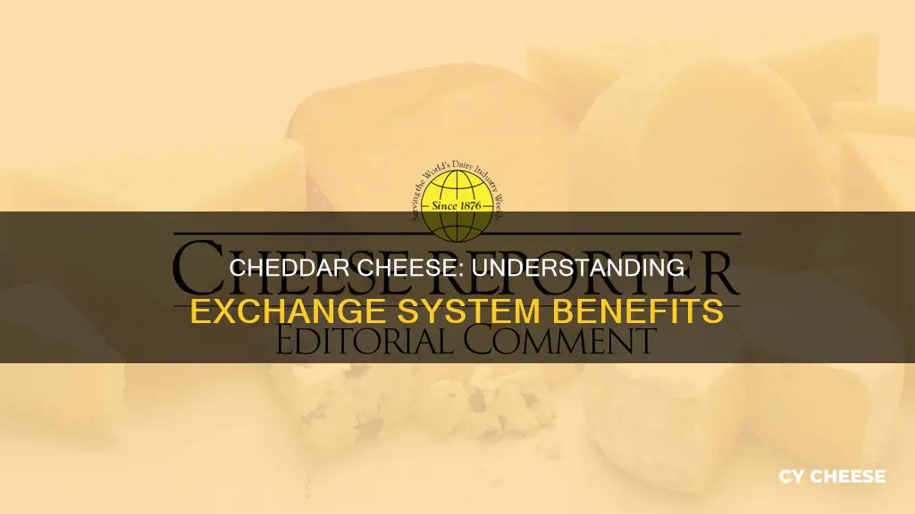 what is chedder cheese in the exchaange system