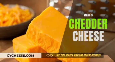 Unveiling Cheddar's Golden Secrets: A Cheesy Adventure