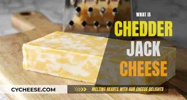 Exploring Cheddar Jack: A Cheesy Adventure