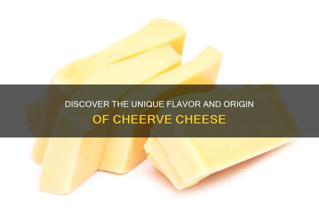 what is cheerve cheese