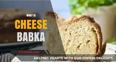 Discover the Sweet, Cheesy Delight of Cheese Babka