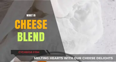 Exploring Cheese Blends: Perfect Combinations for Flavorful Culinary Creations