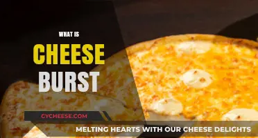 Exploring the Melty Magic: What is Cheese Burst Pizza?