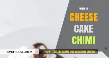 Discover the Sweet and Savory Delight: What is Cheese Cake Chimi?