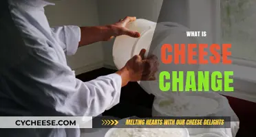 Understanding Cheese Change: A Guide to Its Process and Impact