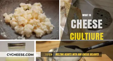 Understanding Cheese Culture: The Heart of Flavor and Fermentation