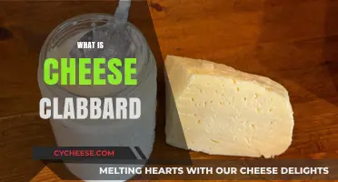 Exploring Cheese Clabbard: A Unique Culinary Delight Unveiled