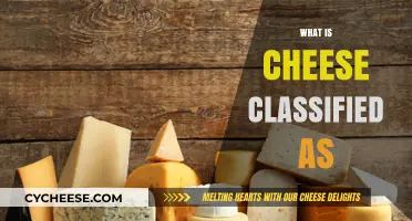 Understanding Cheese Classification: Dairy Product or Fermented Food?