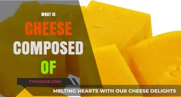 Unraveling Cheese Composition: Ingredients, Nutrients, and Flavor Secrets