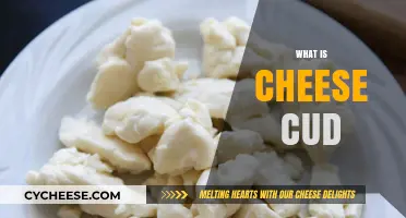 Understanding Cheese Cud: A Unique Dairy Delicacy Explained