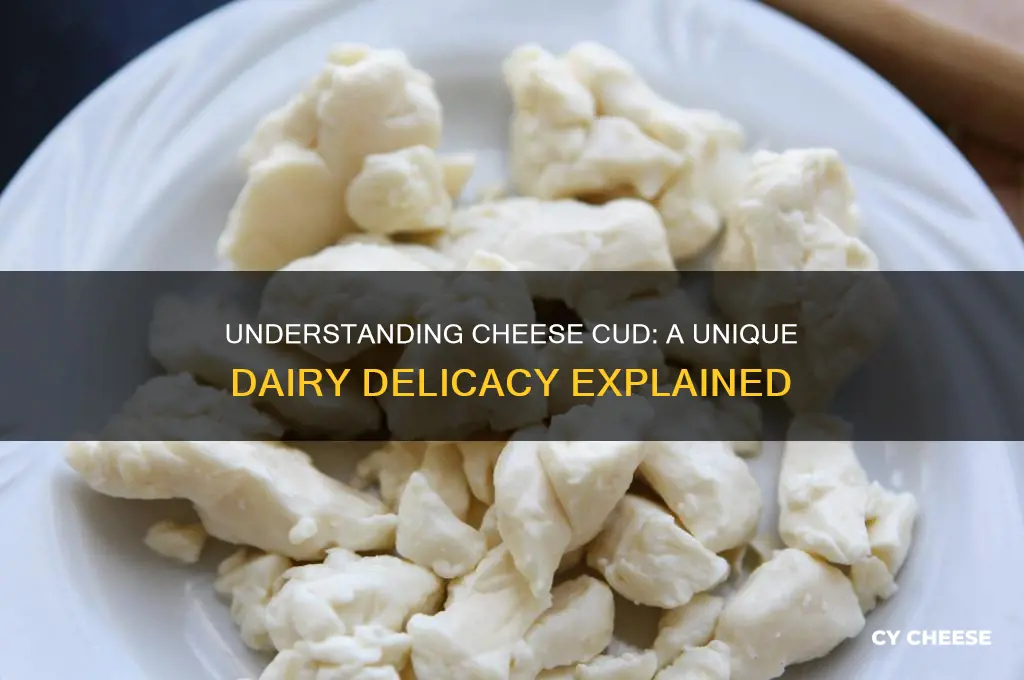 what is cheese cud