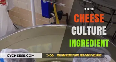 Exploring Cheese Culture: Essential Ingredient for Perfect Cheese Making