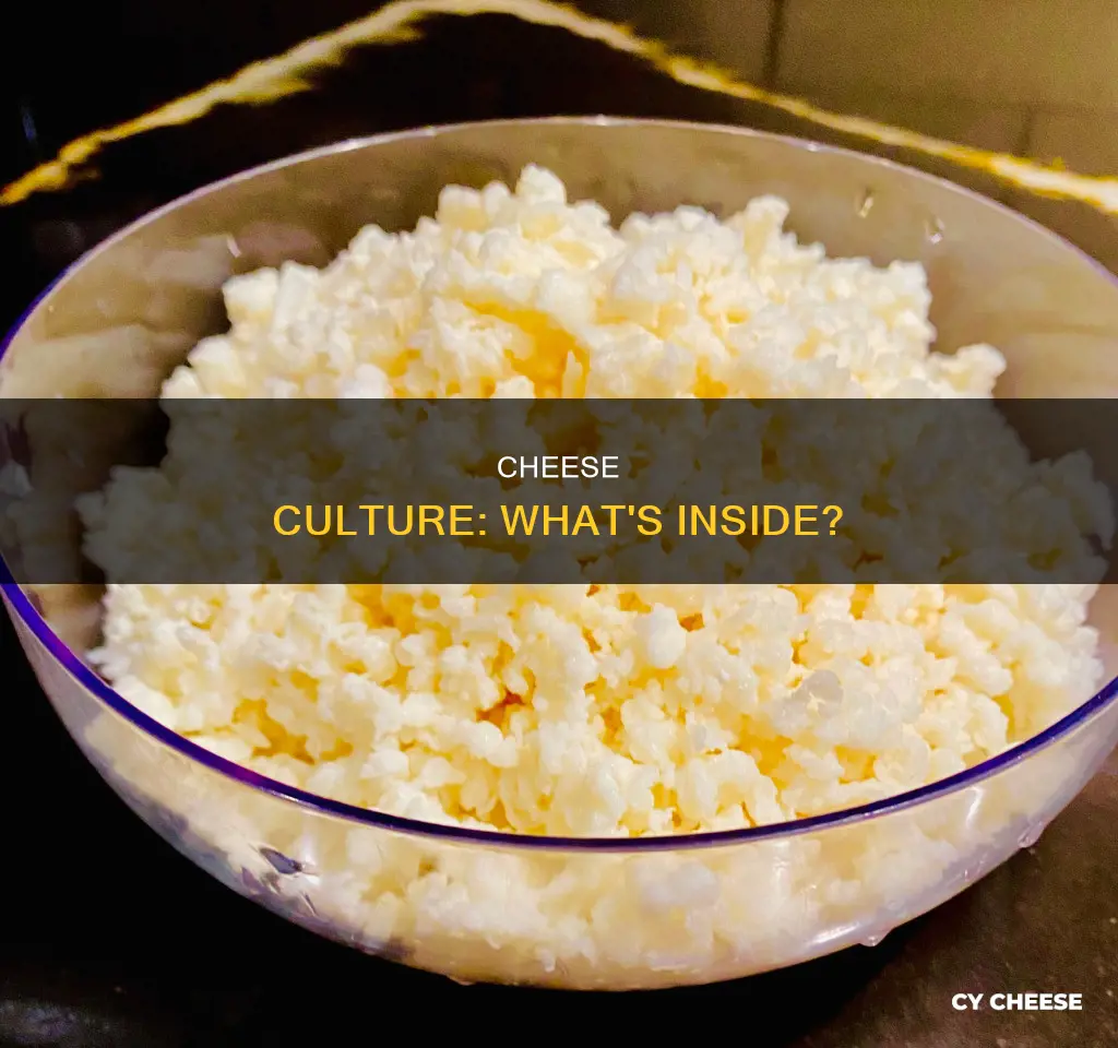what is cheese culture made of