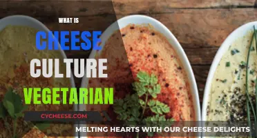 Exploring Vegetarian Cheese Culture: Ingredients, Benefits, and Delicious Options