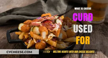 Cheese Curds: A Tasty Addition to Your Meals