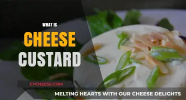 Exploring Cheese Custard: A Savory Twist on a Classic Dessert
