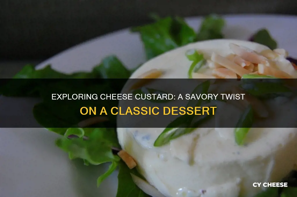 what is cheese custard