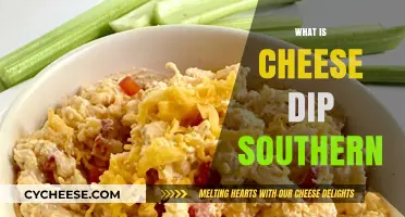 Southern Cheese Dip: A Creamy, Spicy, and Irresistible Comfort Food Classic