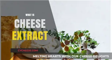 Exploring Cheese Extract: Uses, Benefits, and Culinary Applications