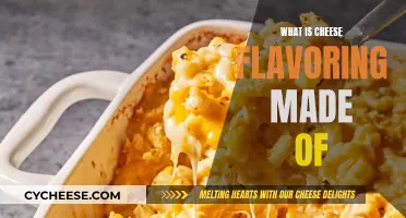 The Mystery Behind Cheese Flavoring: Ingredients and Science