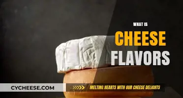 Exploring the Diverse World of Cheese Flavors and Varieties