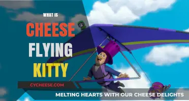 What is Cheese Flying Kitty? Unraveling the Mystery Behind the Meme