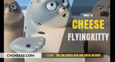 What is Cheese Flyingkitty? Unveiling the Mystery Behind the Viral Sensation