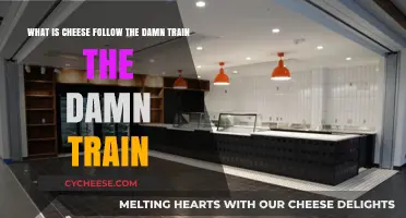 Cheese Explained: Follow the Train to Dairy Delight