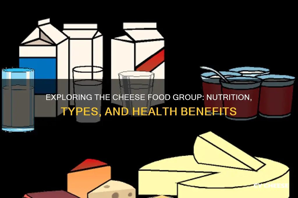 what is cheese food group