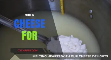 Exploring Cheese's Culinary Magic: Uses, Benefits, and Delicious Possibilities