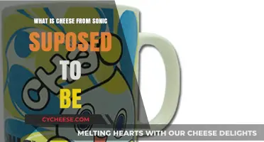 Unraveling the Mystery: What is Cheese from Sonic Supposed to Be?