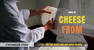 Exploring Cheese Origins: Milk, Cultures, and Coagulation Explained