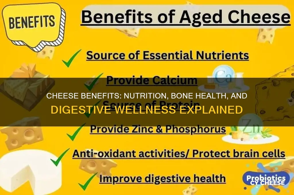 what is cheese good for in the body