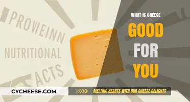 Cheese Benefits: Nutrition, Health, and Delicious Ways to Enjoy It