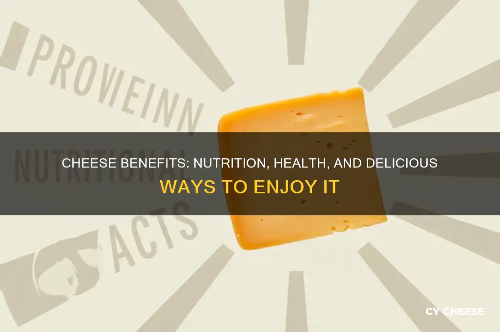 what is cheese good for you