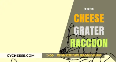 Unveiling the Mystery: What is a Cheese Grater Raccoon?