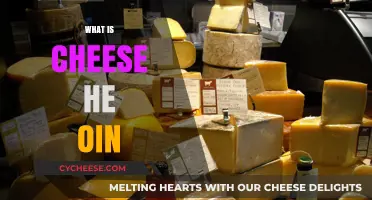 Unraveling the Mystery: What is Cheese He Oin and Why It Matters