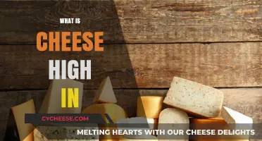 Cheese Nutrition: High in Protein, Calcium, and Healthy Fats Explained