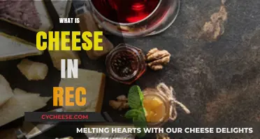 Understanding Cheese in REC: A Comprehensive Guide to Its Role