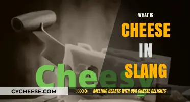 Unraveling the Meaning: What Does 'Cheese' Mean in Slang?