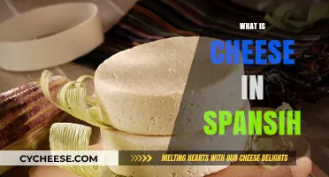 Discovering the Spanish Word for Cheese: A Delicious Language Lesson