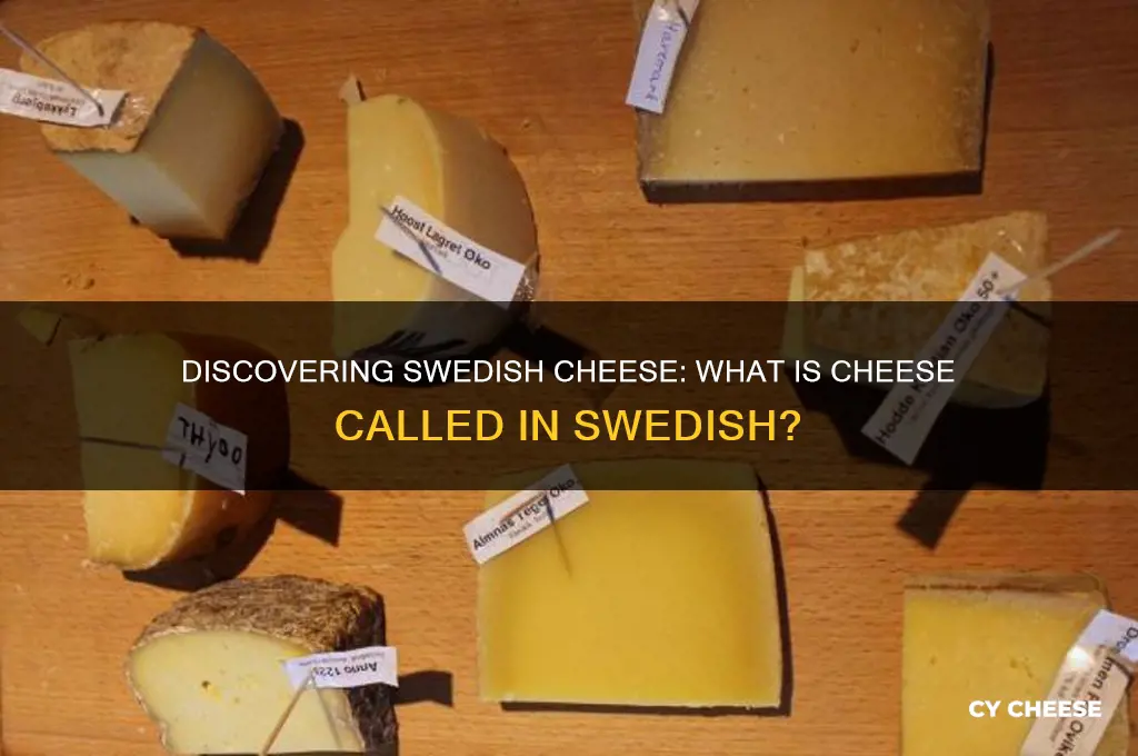 what is cheese in swedish