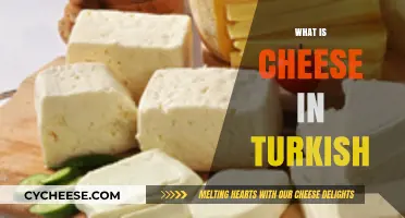 Discovering the Rich Flavors of Turkish Cheese: A Culinary Journey